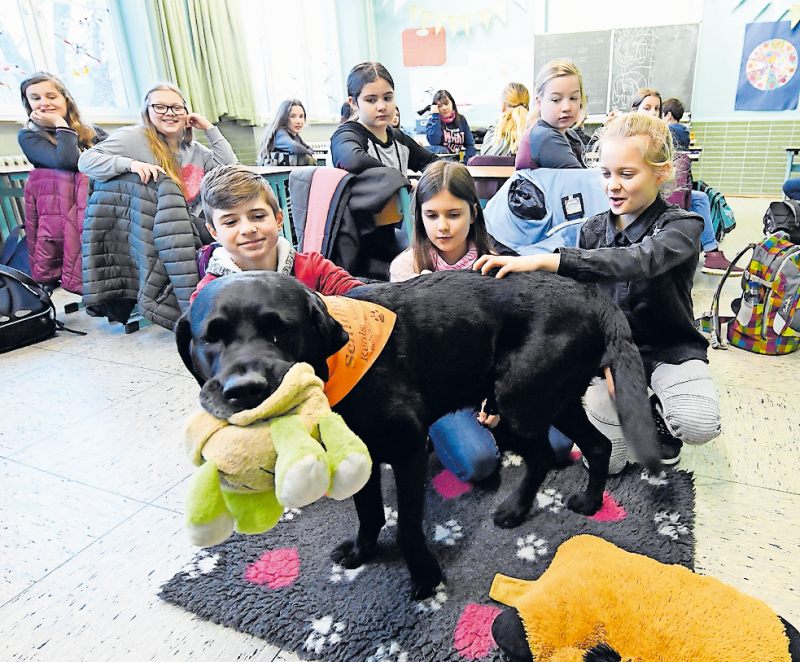 Mädchen die Angst genommen – Ein Artikel in der Rheinpfalz über unseren Schulhund Balou